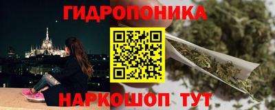 крисы Будённовск