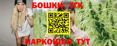 крисы Будённовск
